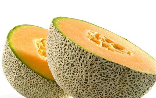 地鳖虫吃哈密瓜好吗视频,一场奇妙的味蕾冒险