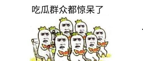 亮哥吃瓜群众视频播放,揭秘热门视频背后的故事
