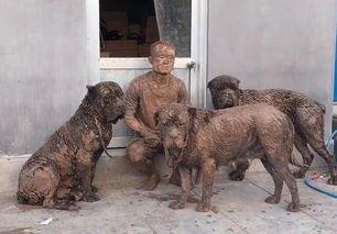 三月瓜狗狗可以吃吗视频