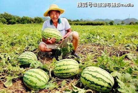 武汉崇仁路吃瓜视频,一幕引发全民热议的武汉街头奇观