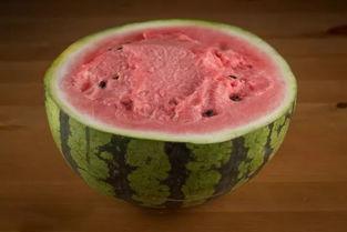 南方吃瓜搞笑视频,笑料百出，瓜田笑果连连