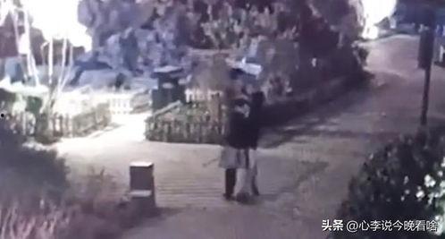 龙城吃瓜事件视频大全,视频大全揭秘网络热点背后的真相