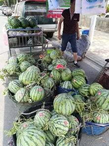 十堰吃瓜事件真相视频,揭秘真相背后的惊人内幕